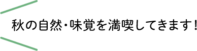 秋の自然・味覚を満喫してきました！