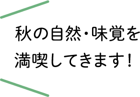 秋の自然・味覚を満喫してきました！