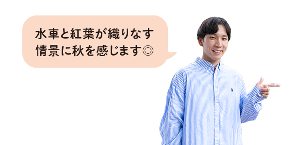 水車と紅葉が織りなす情景に秋を感じます◎