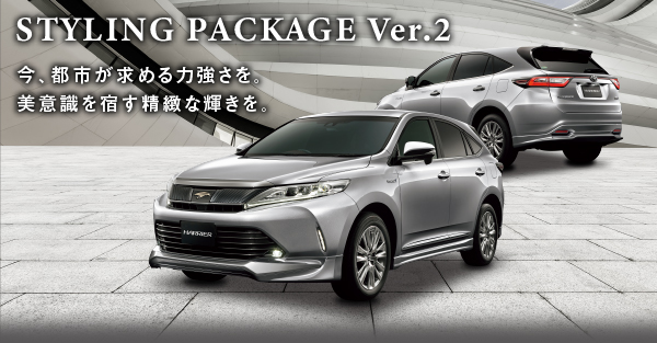STYLING PACKAGE Ver.2