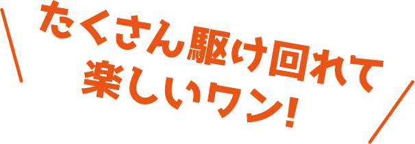 たくさん駆け回れて楽しいワン！