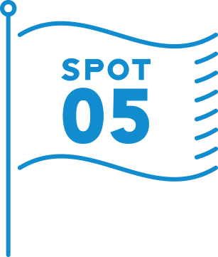 SPOT5