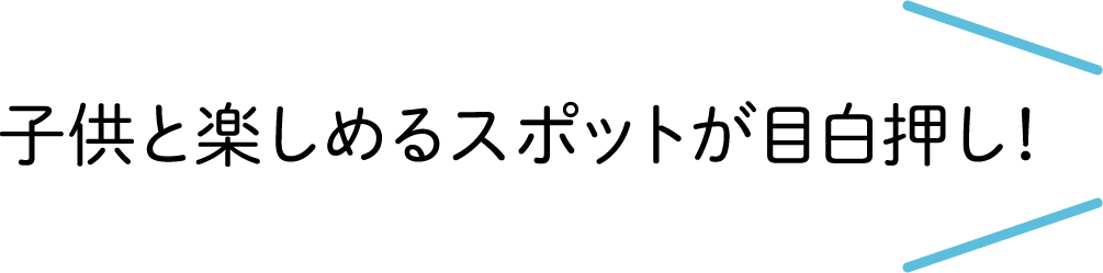 子供と楽しめるスポットが目白押し！