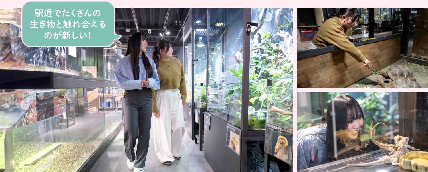 駅前でたくさんの生き物と触れ合えるのが新しい！