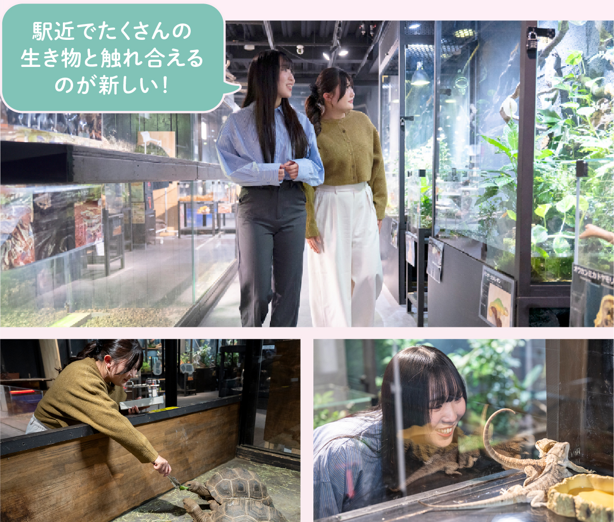 駅前でたくさんの生き物と触れ合えるのが新しい！