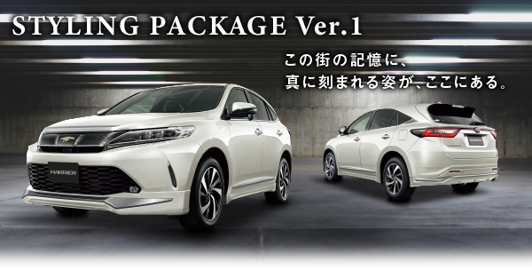 STYLING PACKAGE Ver.1