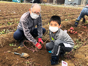お客様交流イベントいも掘り 昨年度の様子