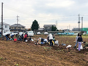 お客様交流イベントいも掘り 昨年度の様子